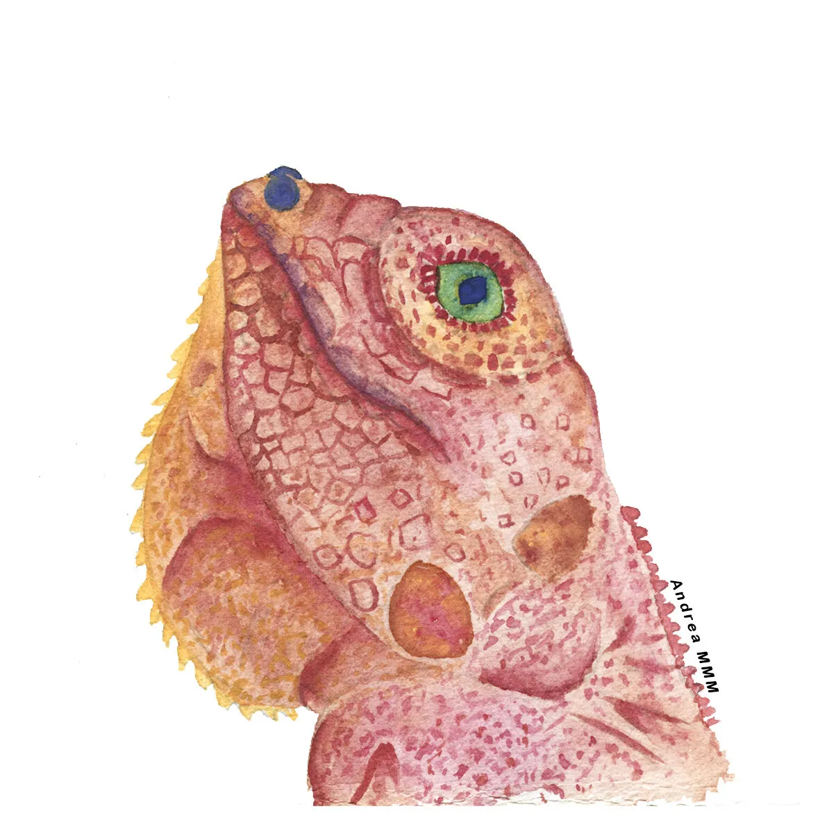 Retrato de una iguana rosa y naranja, con escamas detalladas y un ojo verde.