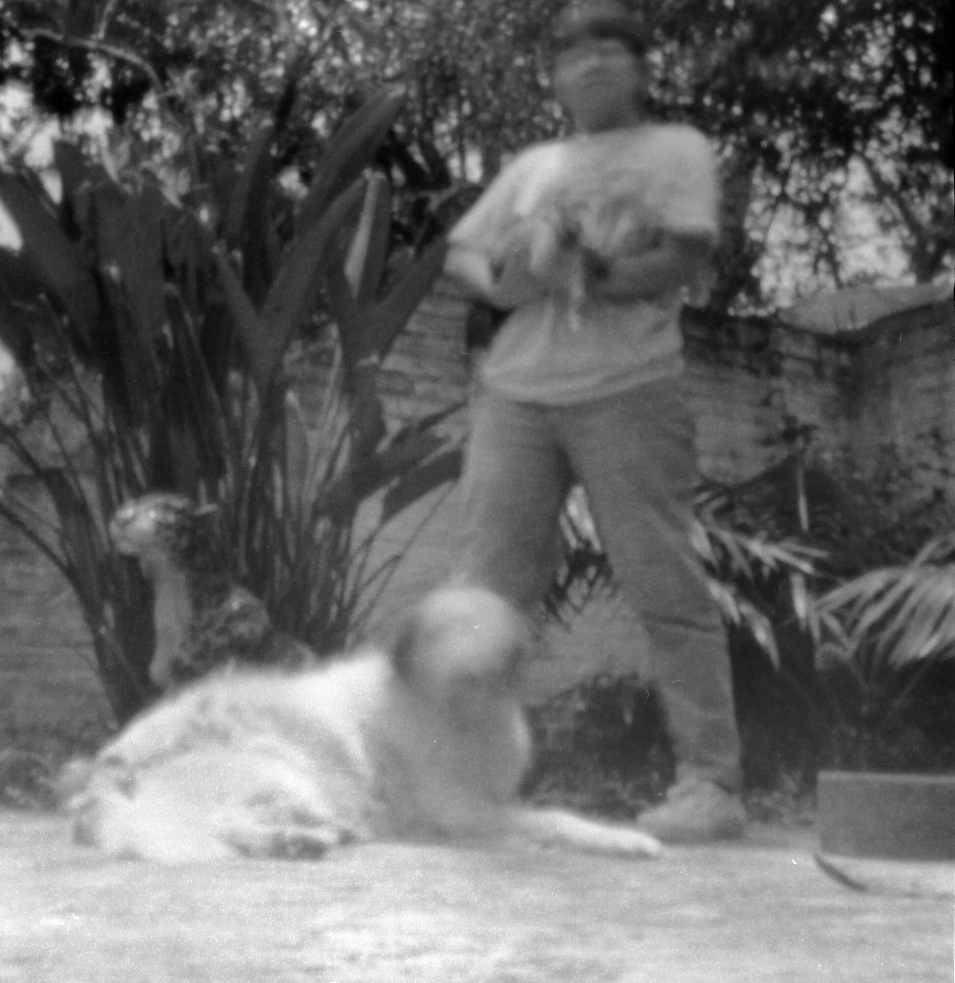 Una persona de pie en un patio con plantas y un perro blanco echado al frente, los dos movidos, en blanco y negro.