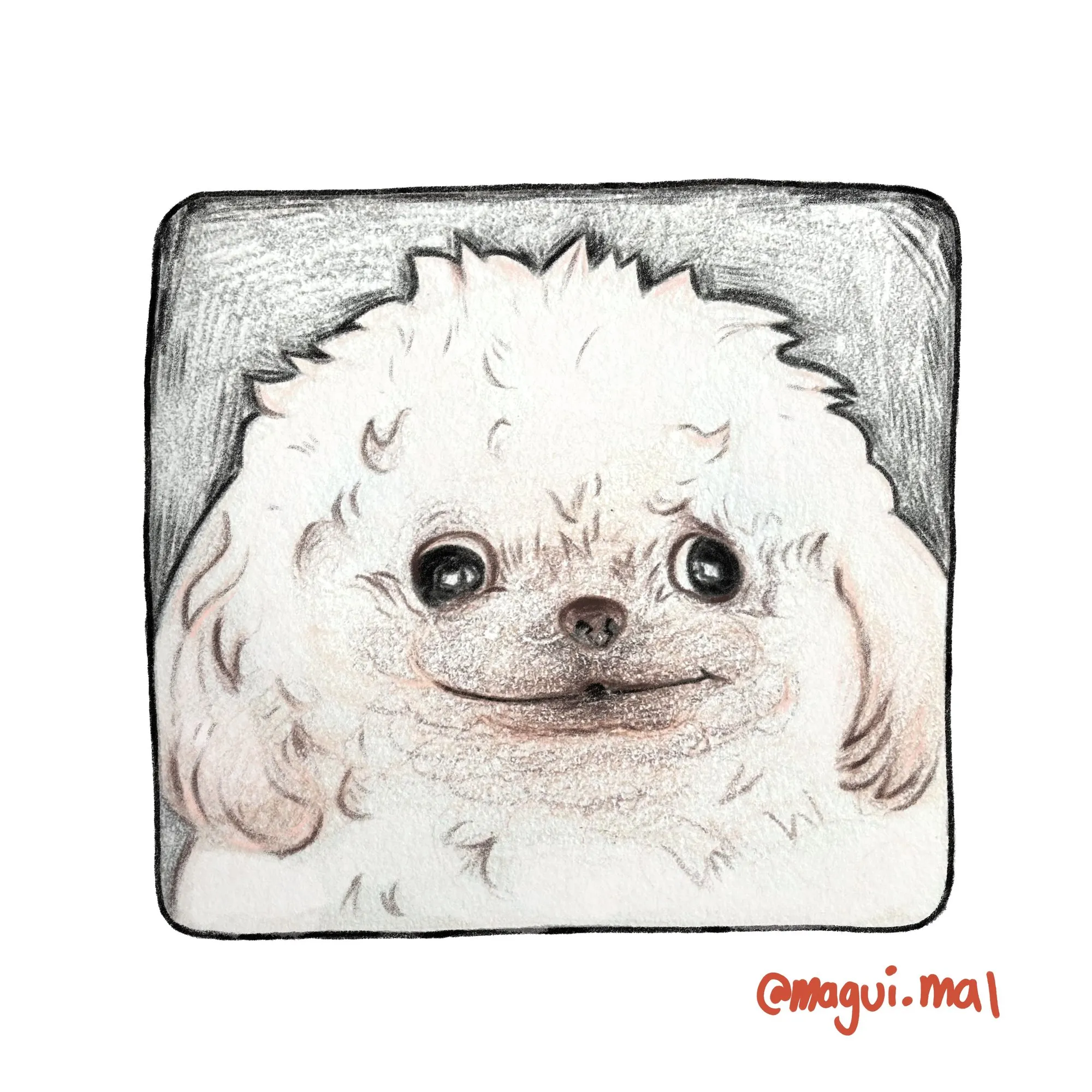 Retrato de un perrito blanco y peludo que sonríe enseñando los dientes de abajo.
